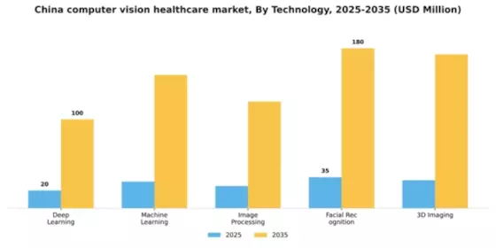 China Computer Vision Healthcare Market Segment Image 3