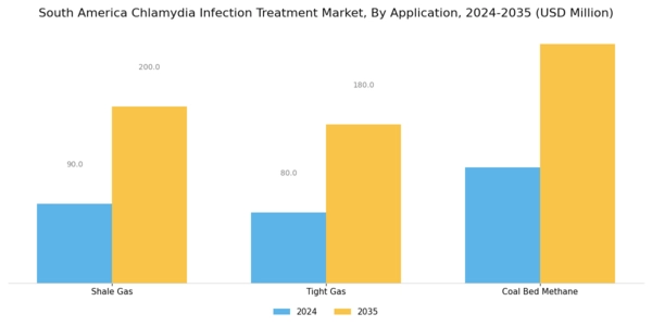 South America Chlamydia Infection Treatment Market Segment Image 1