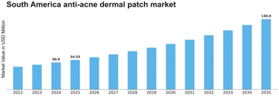 South America Anti Acne Dermal Patch Market Size