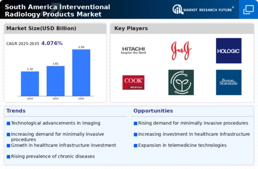 South America Interventional Radiology Products Market Infographic