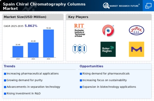 Spain Chiral Chromatography Columns Market Infographic