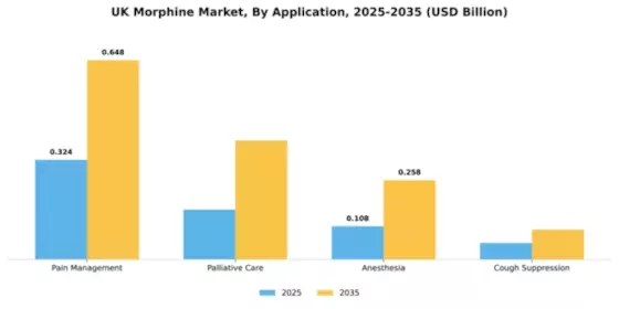 UK Morphine Market Segment Image 0