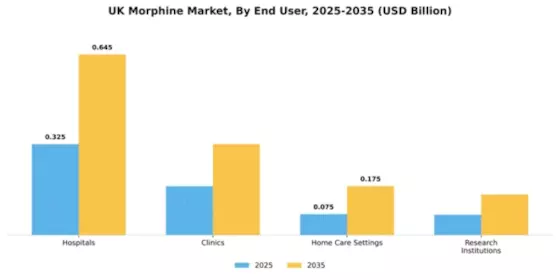 UK Morphine Market Segment Image 2