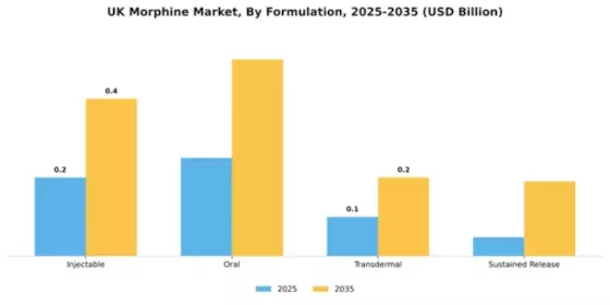 UK Morphine Market Segment Image 3