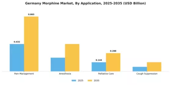 Germany Morphine Market Segment Image 0