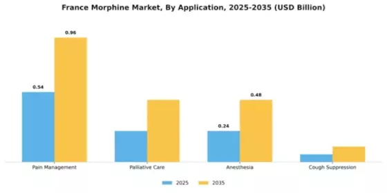 France Morphine Market Segment Image 0