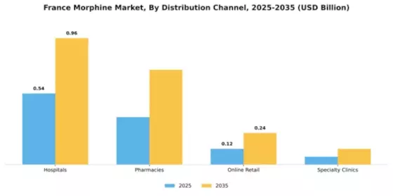 France Morphine Market Segment Image 1