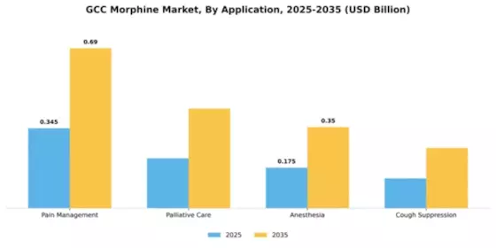 GCC Morphine Market Segment Image 0