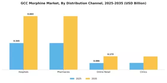 GCC Morphine Market Segment Image 1