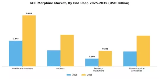 GCC Morphine Market Segment Image 2