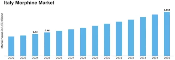Italy Morphine Market Size