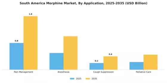 South America Morphine Market Segment Image 0