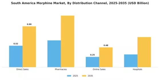 South America Morphine Market Segment Image 1