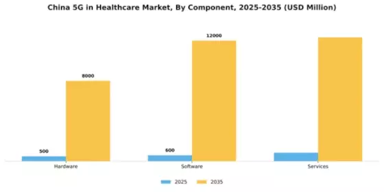 China 5G in Healthcare Market Segment Image 1