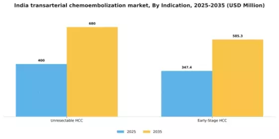 India Transarterial Chemoembolization Market Segment Image 1