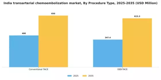 India Transarterial Chemoembolization Market Segment Image 2