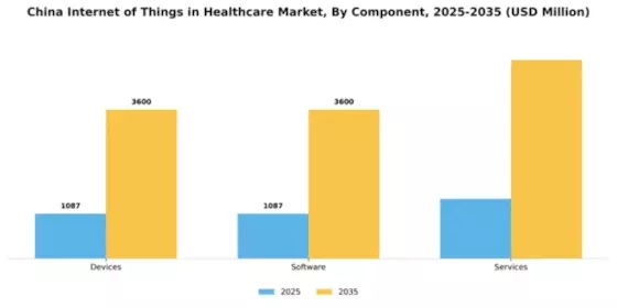 China Internet of Things in Healthcare Market Segment Image 1