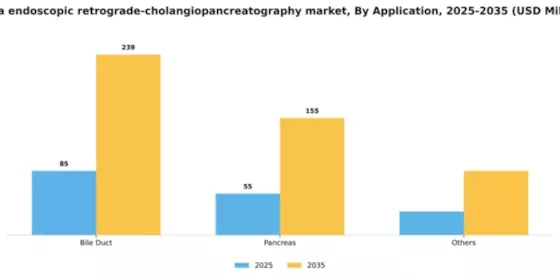China Endoscopic Retrograde Cholangiopancreatography Market Segment Image 0