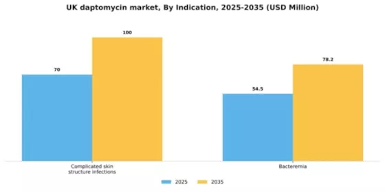 UK Daptomycin Market Segment Image 1