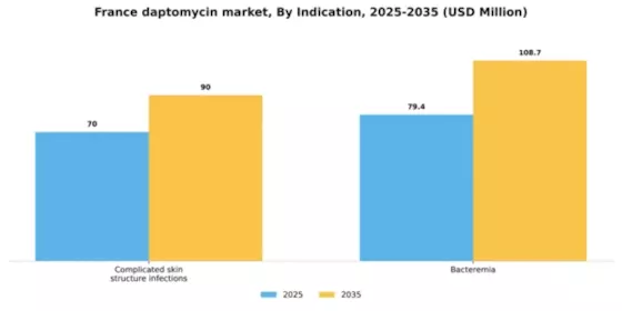 France Daptomycin Market Segment Image 1