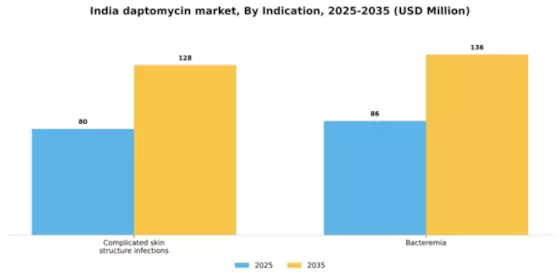 India Daptomycin Market Segment Image 1