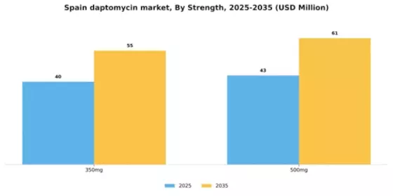 Spain Daptomycin Market Segment Image 2