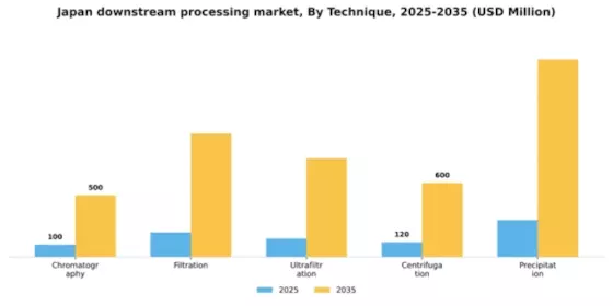 Japan Downstream Processing Market Segment Image 3
