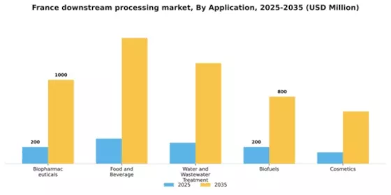 France Downstream Processing Market Segment Image 0