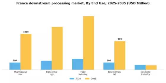 France Downstream Processing Market Segment Image 1