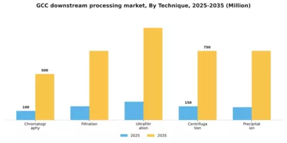 GCC Downstream Processing Market Segment Image 3