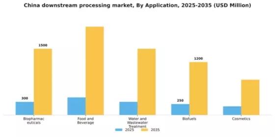 China Downstream Processing Market Segment Image 0