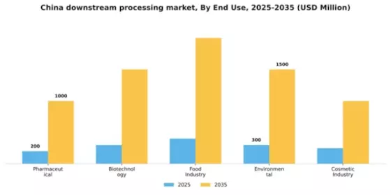 China Downstream Processing Market Segment Image 1