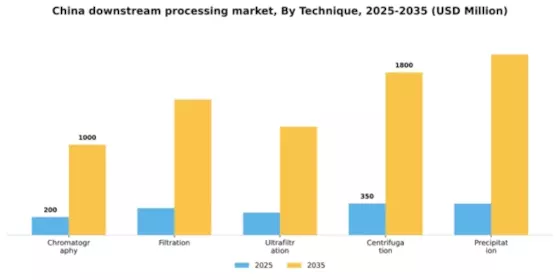 China Downstream Processing Market Segment Image 3
