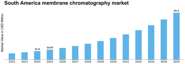 South America Membrane Chromatography Market Size