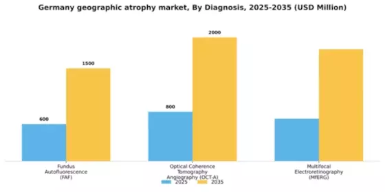 Germany Geographic Atrophy (GA) Market Segment Image 1