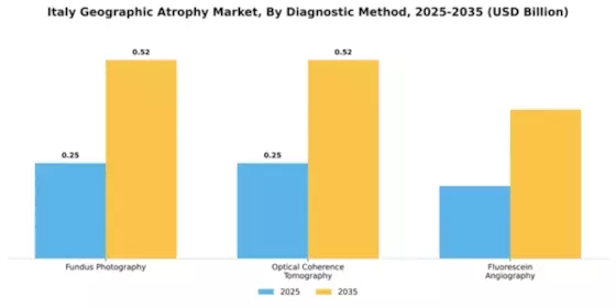Italy Geographic Atrophy Market Segment Image 0