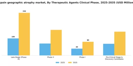 Spain Geographic Atrophy (GA) Market Segment Image 2