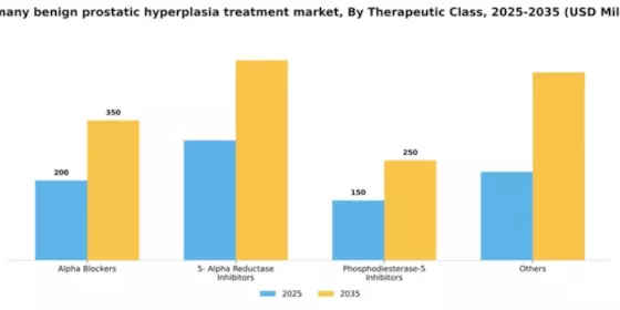 Germany Benign Prostatic Hyperplasia Treatment Market Segment Image 0