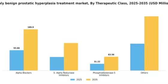 Italy Benign Prostatic Hyperplasia Treatment Market Segment Image 0