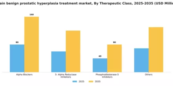 Spain Benign Prostatic Hyperplasia Treatment Market Segment Image 0