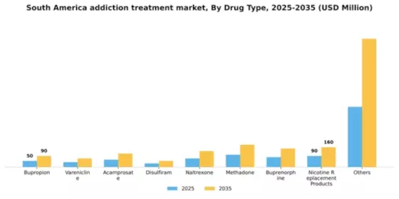 South America Addiction Treatment Market Segment Image 1