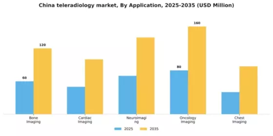 China Teleradiology Market Segment Image 0