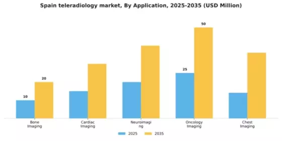 Spain Teleradiology Market Segment Image 0