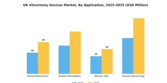 UK Vitrectomy Devices Market Segment Image 0