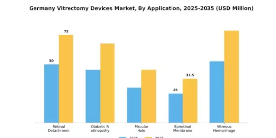 Germany Vitrectomy Devices Market Segment Image 0