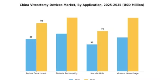 China Vitrectomy Devices Market Segment Image 0