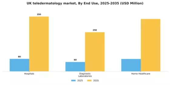 UK Teledermatology Market Segment Image 1