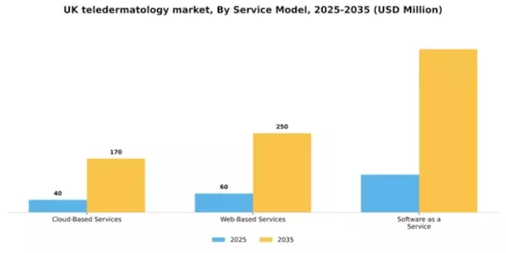 UK Teledermatology Market Segment Image 2