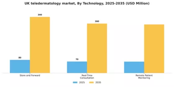 UK Teledermatology Market Segment Image 3