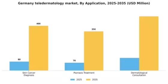 Germany Teledermatology Market Segment Image 0